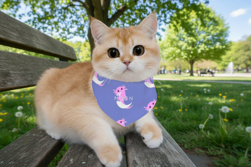Ax Moon Pet Cotton Bandana